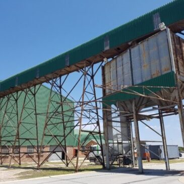 Biomass beneficiation has huge potential for South Africa