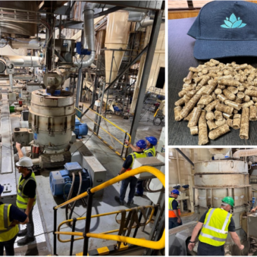 First pellets produced at Coega Biomass Centre